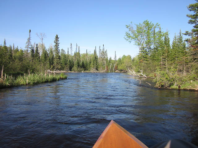 End of part one. The upper North Branch of the Au Sable. This stretch looks like the UP. This is below the Lodge where Henry Ford and Edison used to stay. During the logging days this was a lake behind a dam that would freeze over in winter when they stacked the logs on the ice. Then they would blow up the dam in spring driving the logs downstream to market.