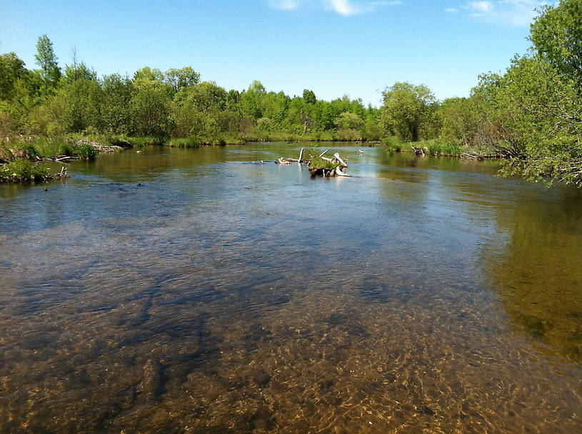 Upper Manistee