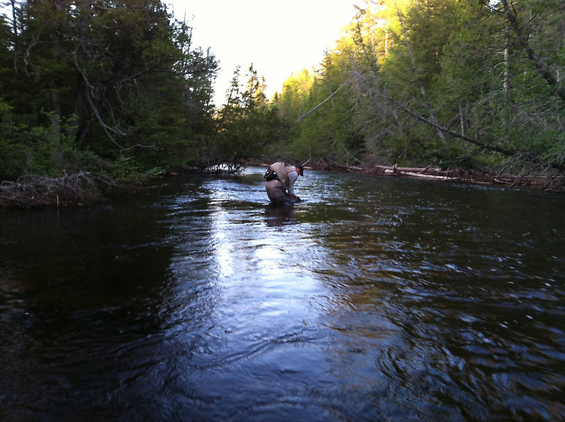 A friend landing a 16"er. At "Spencer's Stoop".