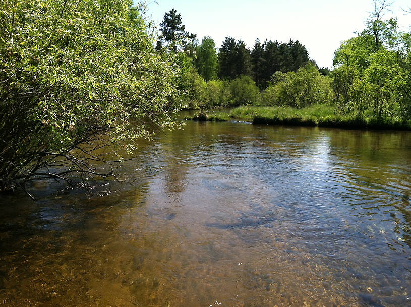 Upper Manistee