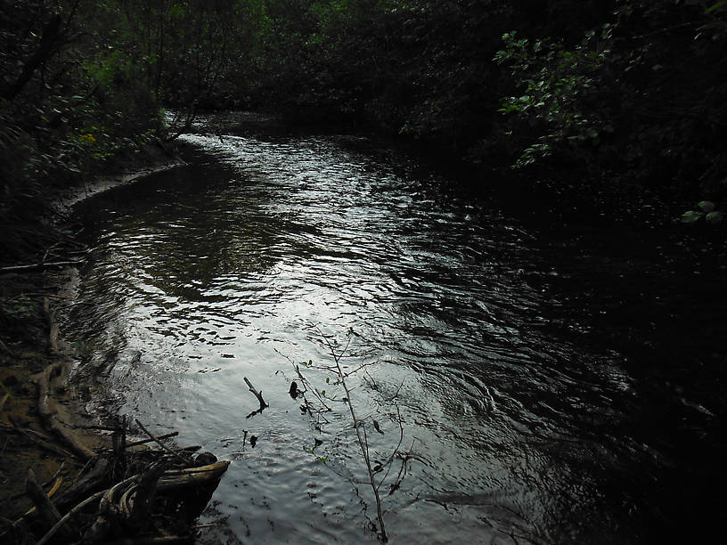 The "Five-Hole" (hockey pun intended...) - first time I fished this pool, I caught five trout!  Brookies, browns, and rainbows have all hit my dry flies in this nice little spot.  