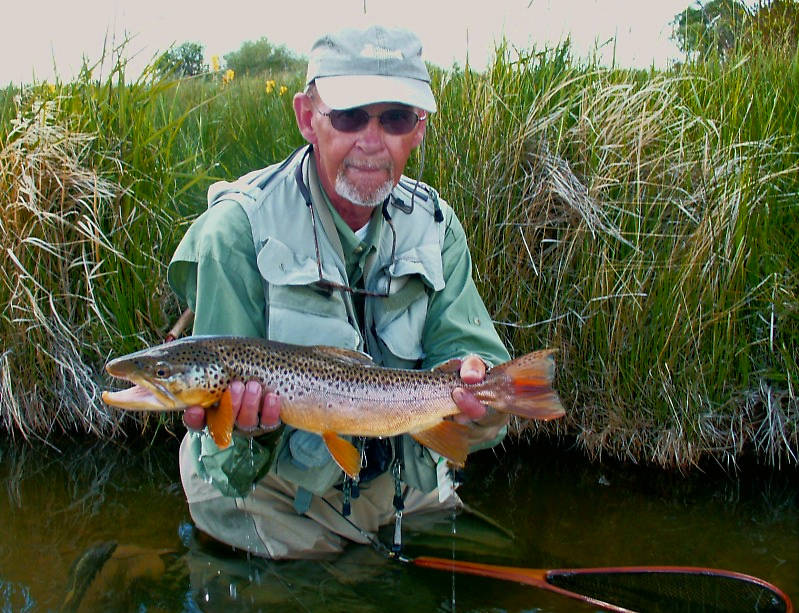 This is one of my biggest Montana spring creek fish - of course on top!        