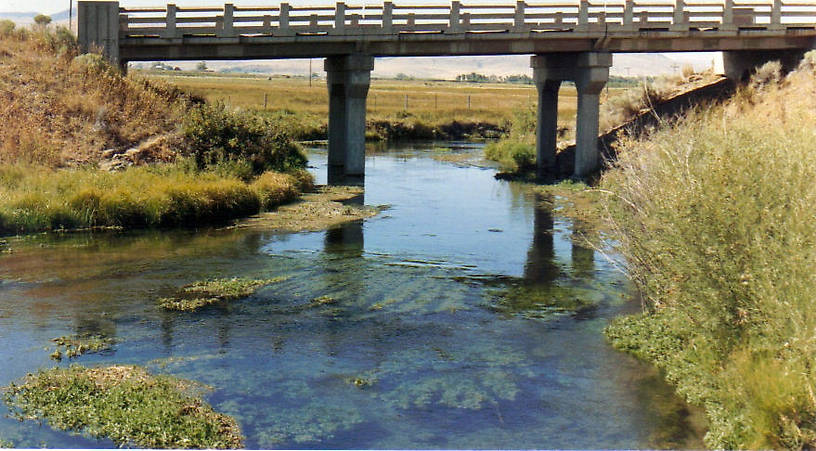 A wonderful SW Montana spring creek.