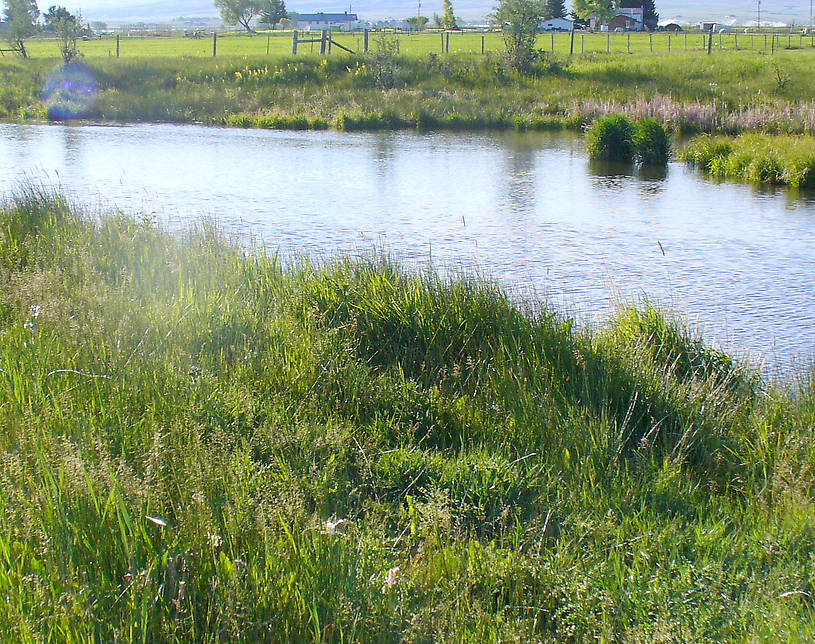 Upstream from the bridge pool