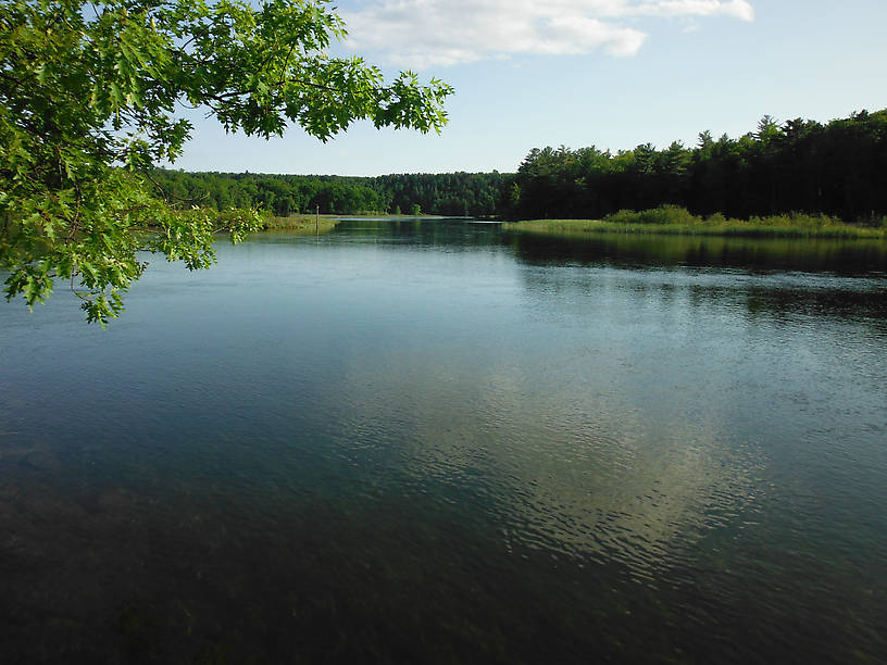 Cooke Pond from the Pine Acres launch