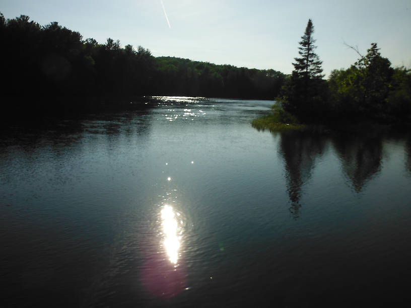 Looking "upstream" - the pond actually has appreciable current here