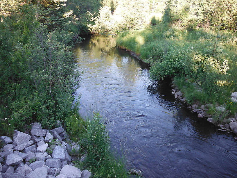 From the bridge at Rearing Pond Road