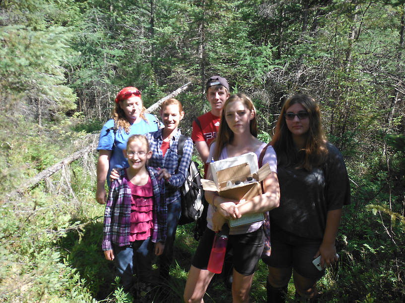 In the bog (what's left of it anyway)