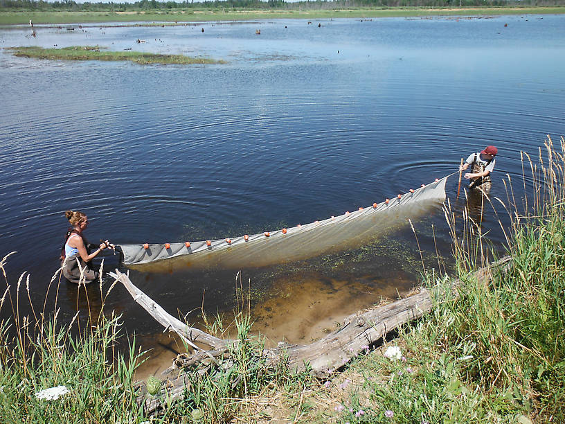 How we caught our (many species of) fish