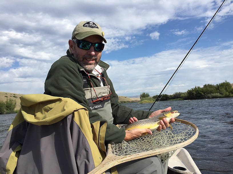 Madison River Brown