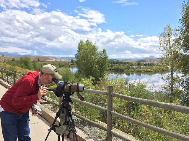 The Nerder Birder at work...