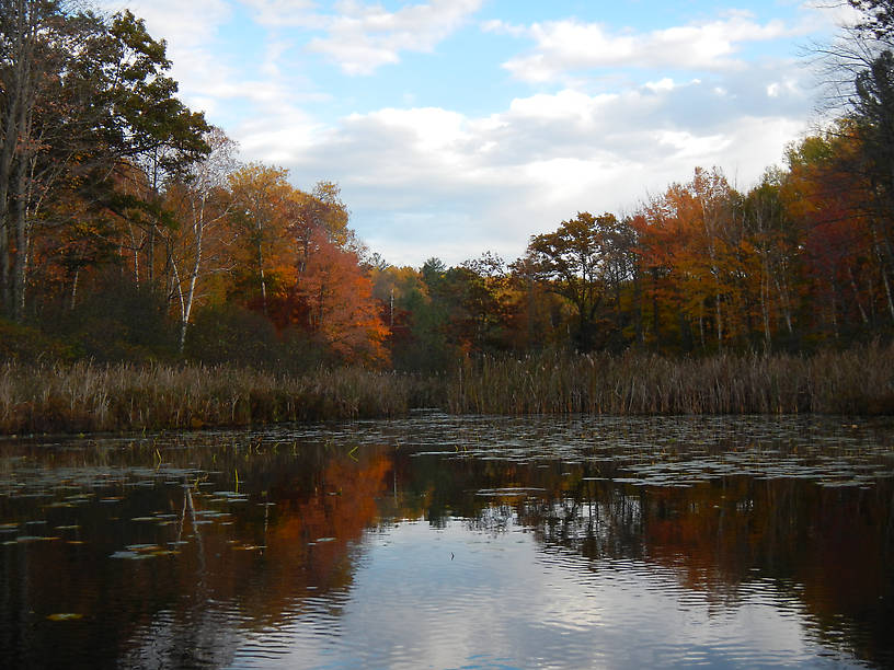 Fall colors are late this year, but better late than never (i.e., brown)