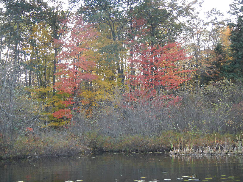 A beautiful fishing spot only adds to the sweetness of success