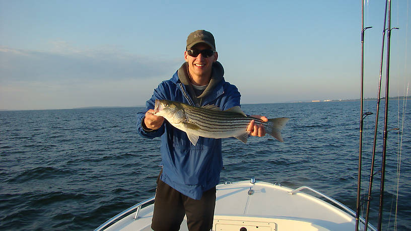 25'' Striper