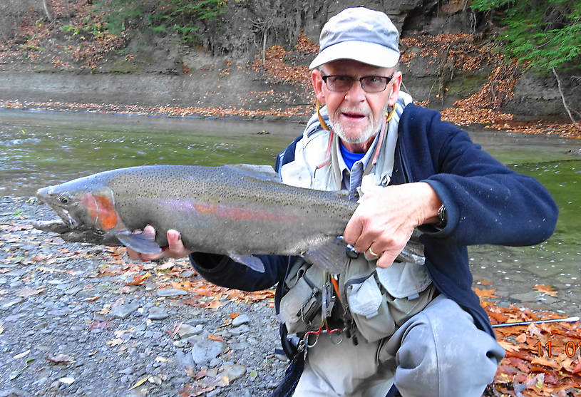 Big ugly late November steelhead about 27".