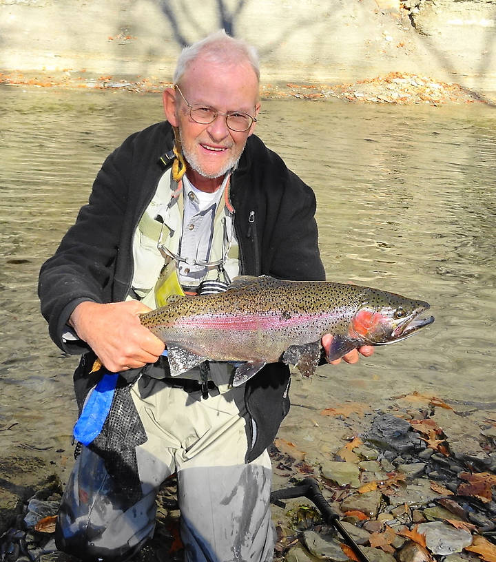 Looks more like a wild rainbow than a steelhead