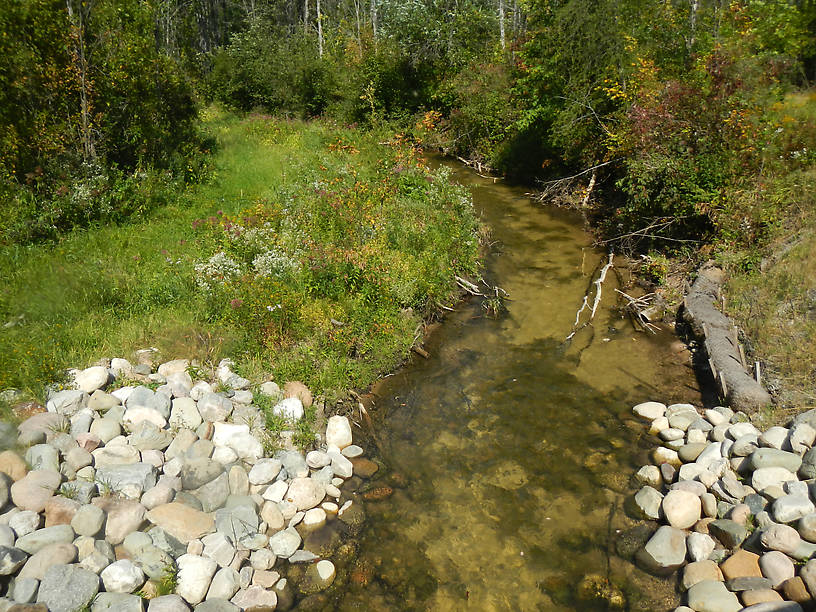 Re-built habitat on the Pine River - gonna have to fish this stretch again