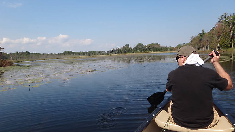 Prospecting for bass in the backwaters