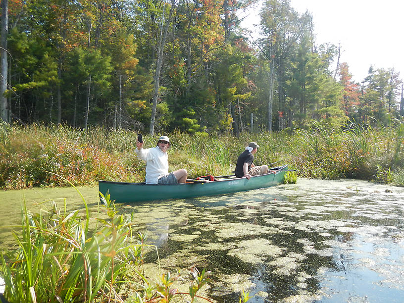 Serious wetland habitat, beautiful and diverse