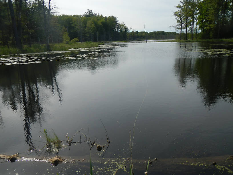 The waters, looking north from the south shore