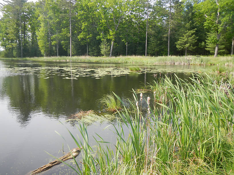 Looking east on the south shore