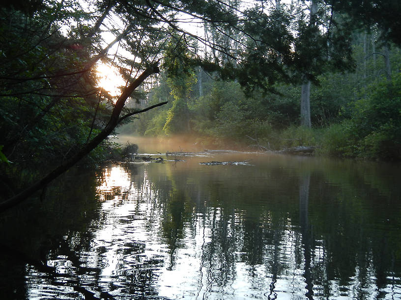 Cold water and warm, humid air