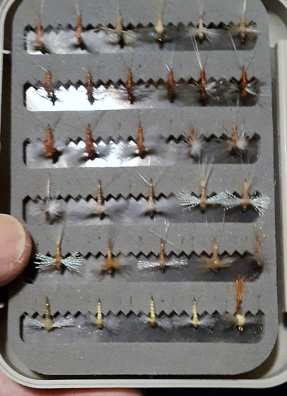 You think I like CDC caddis?