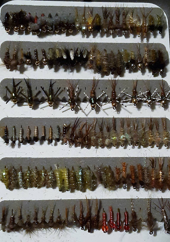 PMD emergers, Split back PMD nymphs, hunchback nymphs