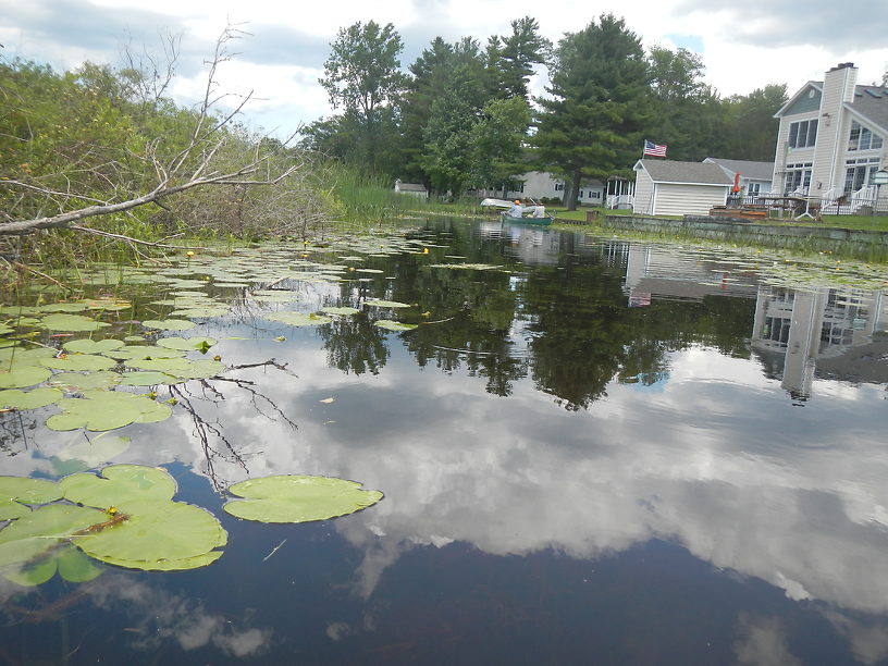 Pretty juicy looking panfish habitat, though we didn't get many strikes