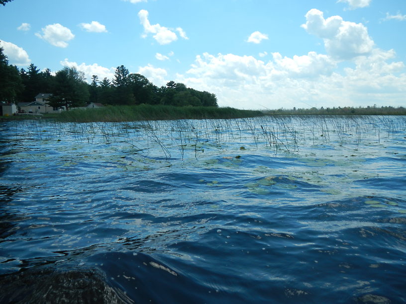 Brisk enough to drag my itty bitty kayak anchor (with 5 lbs. of weeds)