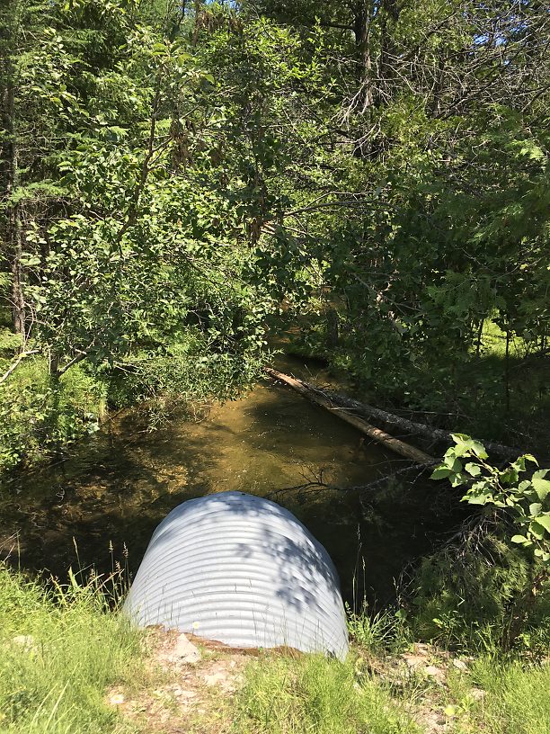 On to the next spot - yep, there's a whole lotta brookies just below that culvert