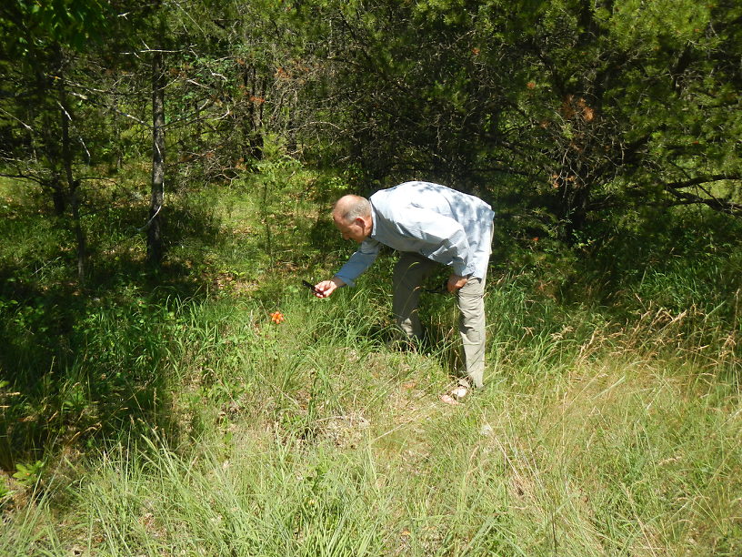 Joe shooting a nice big wood lily