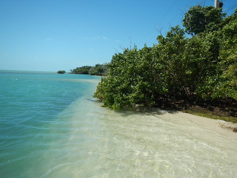 Coming back to snorkel and kayak fish this spot!  One good pass from a jack or pompano but no hookups...this time!