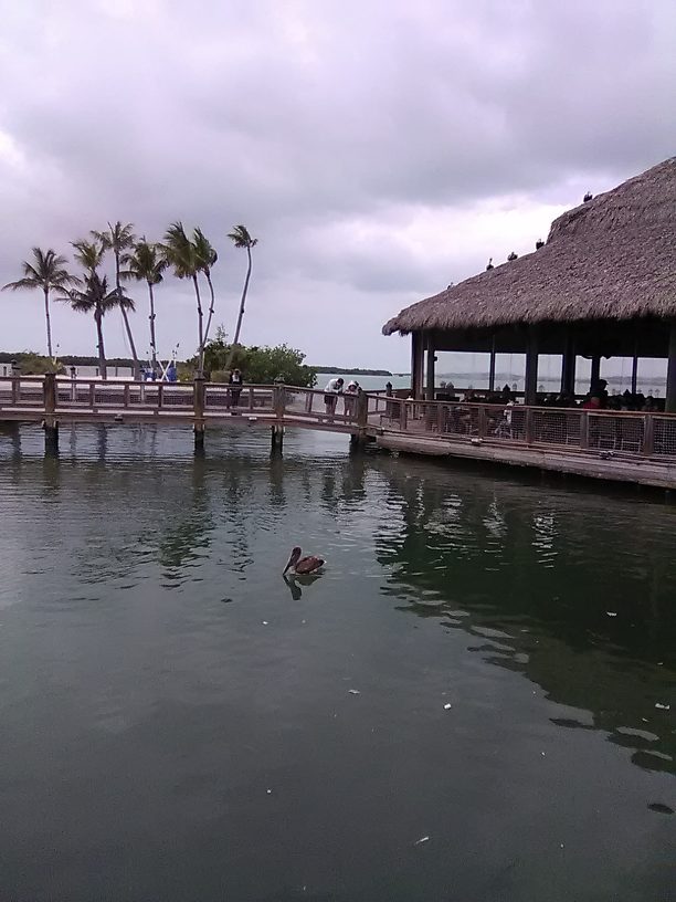 Restaurant where I had the conch chowder with tarpon @ the World Wide Sportsman on Islamorada