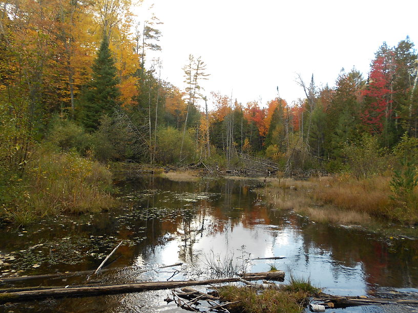 Looking up the canyon from midstream, Teva-clad toes in ice cold water on a sunny October day