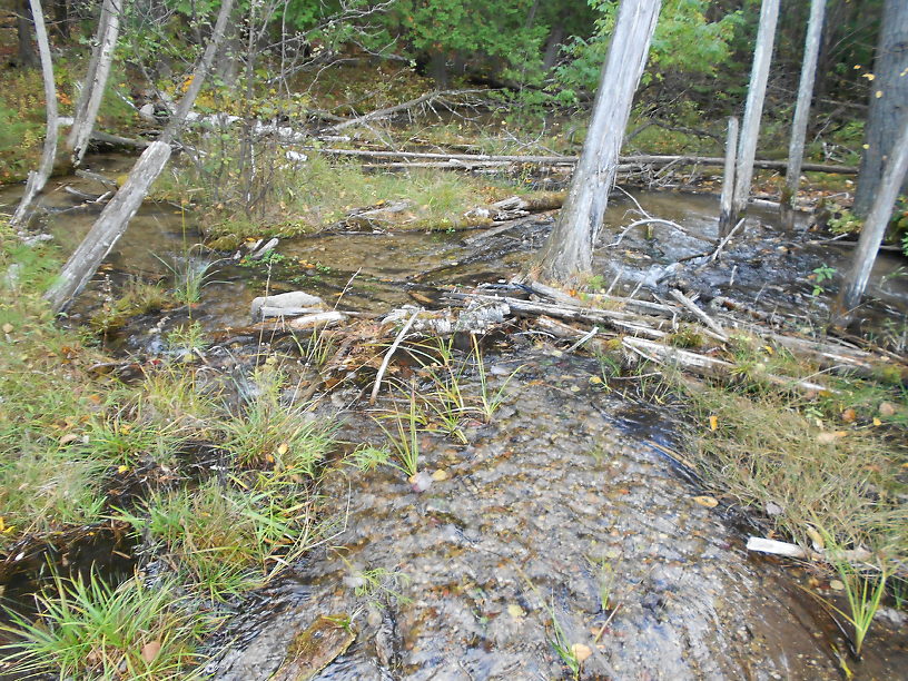 Downstream from the crossing...