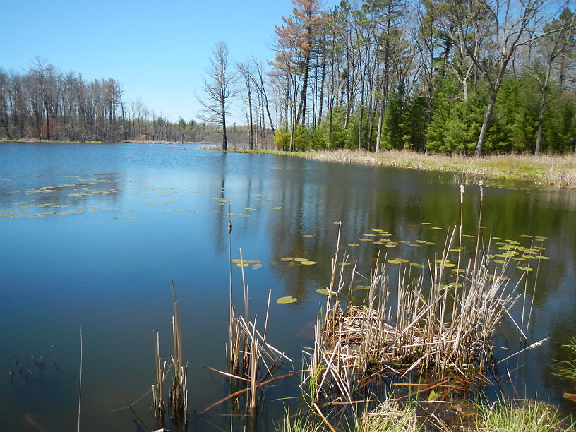 Not much going on in this part of the Marsh yet, but nice day!