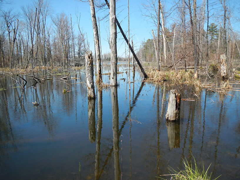 WHOA!!  Lotta water back here!