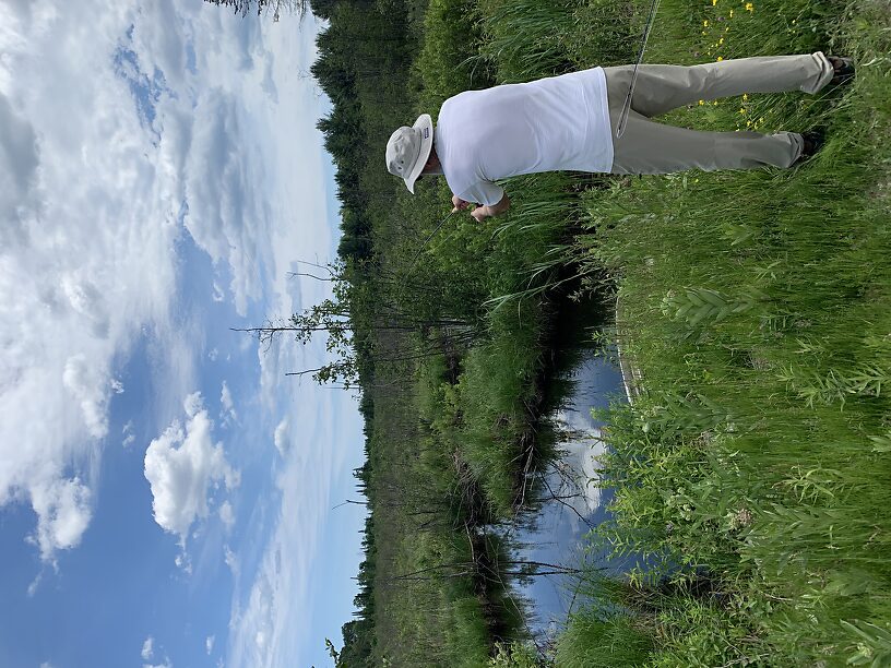 Now to the Mill Creek crossing of Indian Trail, where there's a few brookies amongst the chubs