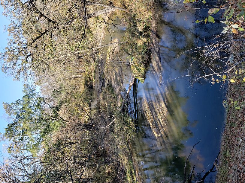 Nice pool, looks very fishable, only has minnows, chubs, a few carp, and maybe, just maybe an isolated northern in a pool here and there.