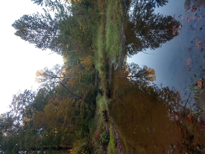 Beaver pond in upper section of stream - had lowest diversity, loads of midges & worms, beaver poop!