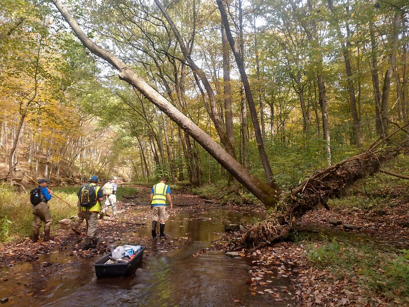 Moving upstream, a good shot of the general habitat