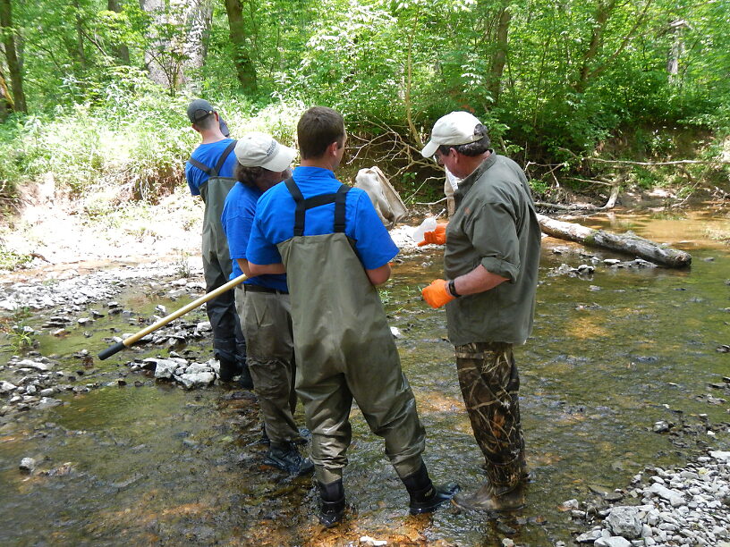 "Invert and squirt"!  Getting the gunk & any attached bugs off the sampling net