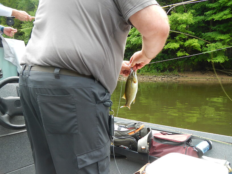 Our host and guide Bill shows us how it's done