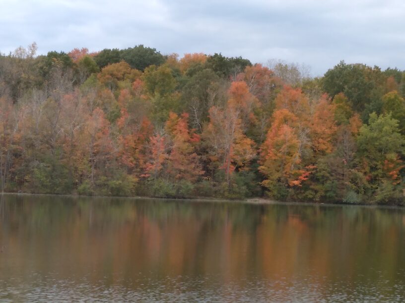 Finally getting some nice fall colors