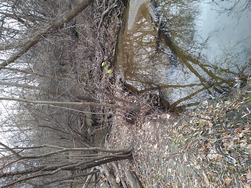 Looking downstream from pool