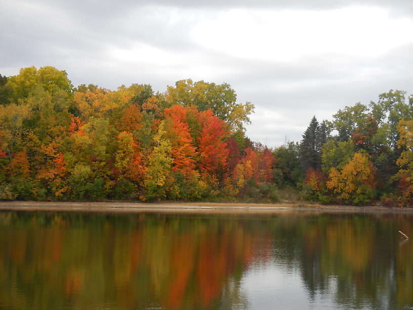 Fall colors were EXCELLENT  this year!