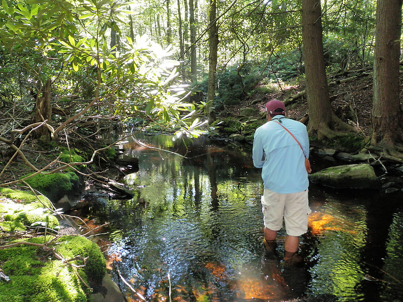 Tight casts for the hard to reach brookies.