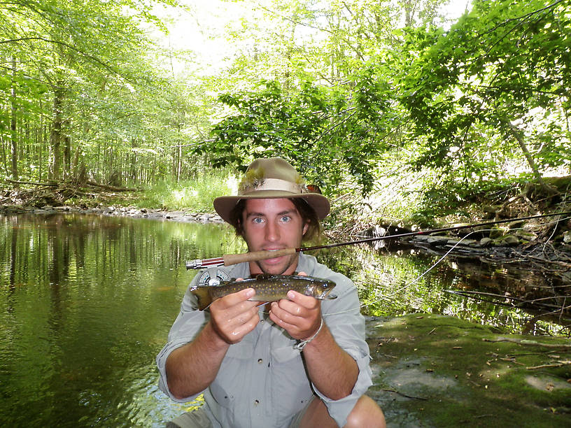 Nice native brookie.