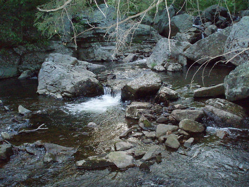 A nice high-gradient wild brown trout stream in northern Maryland